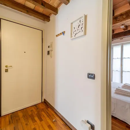 Parakeet House, Terrazzo In Centro *